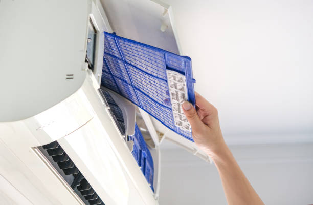 Best Air Duct Mold Removal  in Lindenwold, NJ